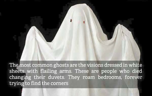 14642508_1692589377724078_1429514780965296888_n