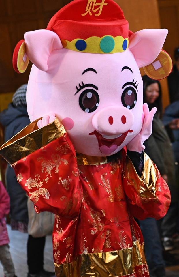 52634603_2208910369425307_4213084968567439360_n